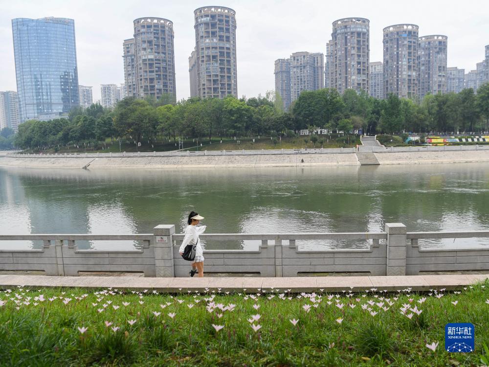 单机免费免流量老虎机